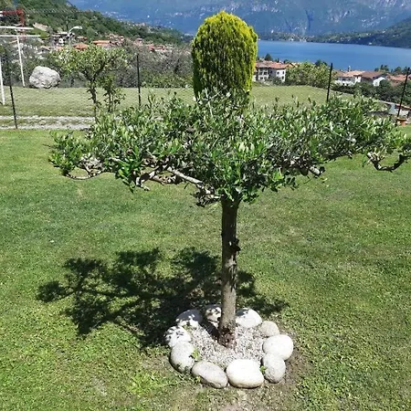 Garzola Bed & Breakfast