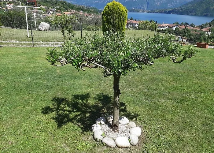 Garzola Отель типа 