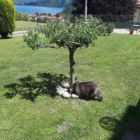 Bed & Breakfast Garzola