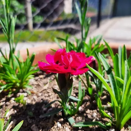 Bed & Breakfast Garzola