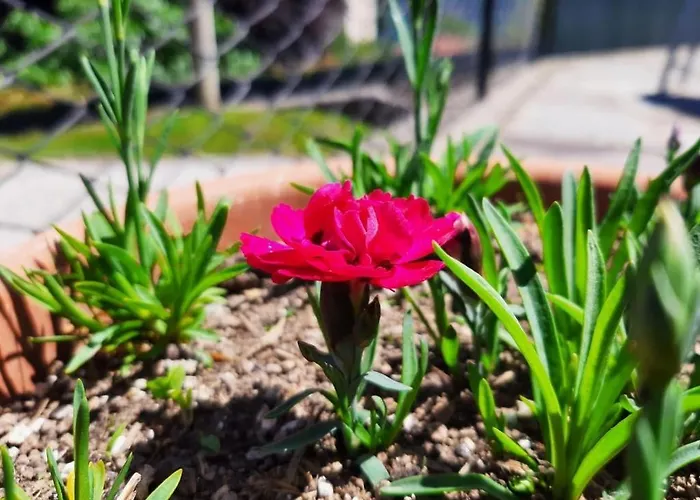 Couette-café Garzola